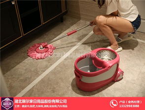 跨領(lǐng)域品質(zhì)堅(jiān)守 煙臺(tái)麗爾家日用品與電子產(chǎn)品銷售的融合之道